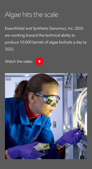 The letters Aa in a typographic diagram